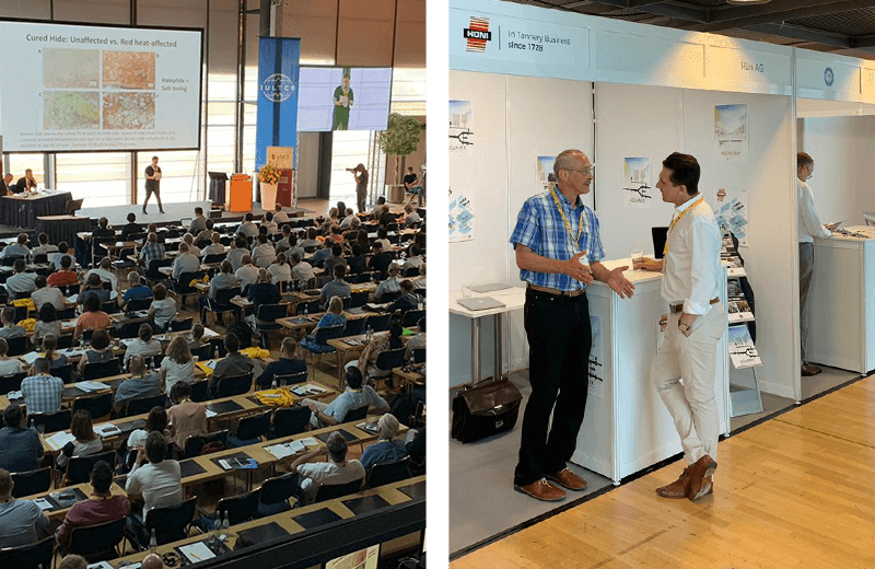 Huni at Dresden 2019